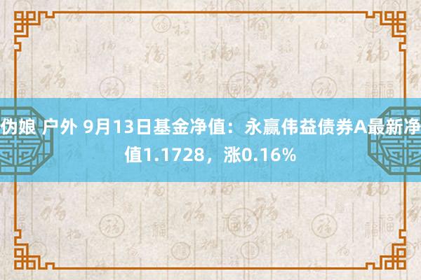 伪娘 户外 9月13日基金净值：永赢伟益债券A最新净值1.1728，涨0.16%