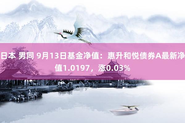 日本 男同 9月13日基金净值：惠升和悦债券A最新净值1.0197，涨0.03%