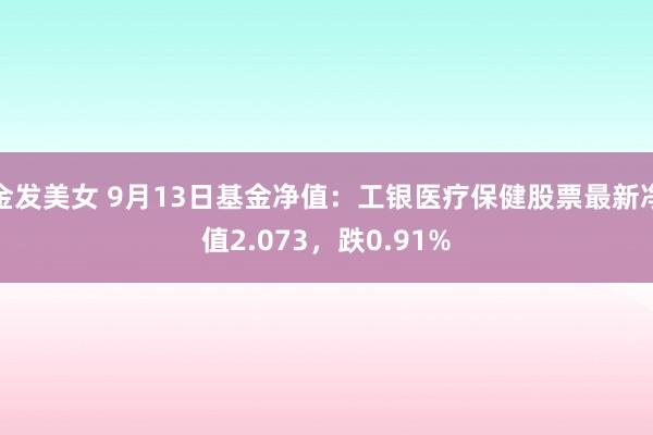 金发美女 9月13日基金净值：工银医疗保健股票最新净值2.073，跌0.91%