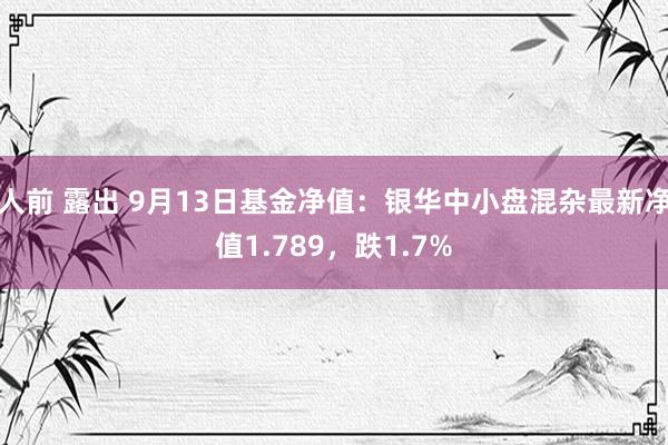 人前 露出 9月13日基金净值：银华中小盘混杂最新净值1.789，跌1.7%