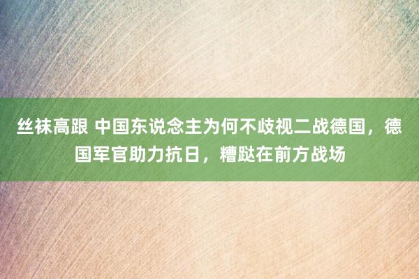 丝袜高跟 中国东说念主为何不歧视二战德国，德国军官助力抗日，糟跶在前方战场