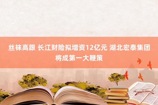 丝袜高跟 长江财险拟增资12亿元 湖北宏泰集团将成第一大鞭策