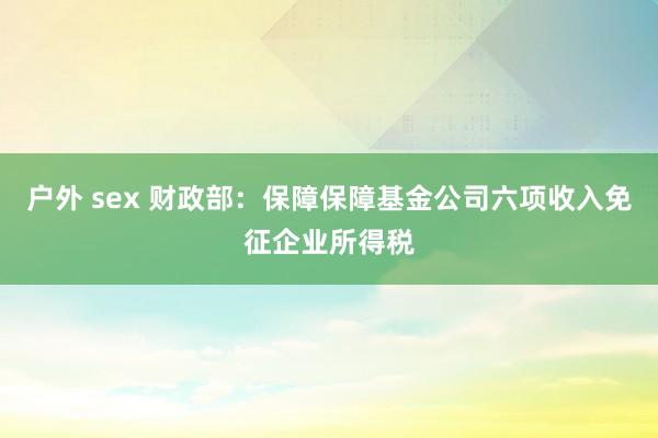 户外 sex 财政部：保障保障基金公司六项收入免征企业所得税