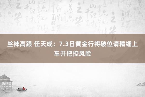 丝袜高跟 任天成：7.3日黄金行将破位请精细上车并把控风险