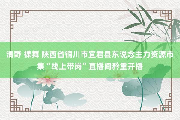 清野 裸舞 陕西省铜川市宜君县东说念主力资源市集“线上带岗”直播间矜重开播