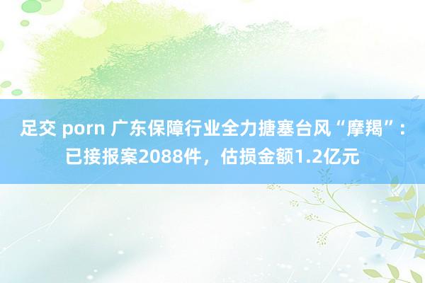 足交 porn 广东保障行业全力搪塞台风“摩羯”：已接报案2088件，估损金额1.2亿元