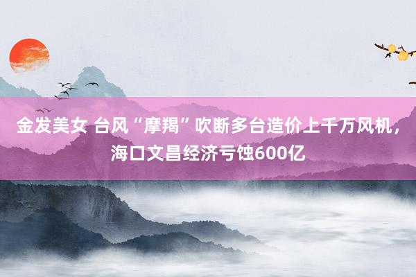 金发美女 台风“摩羯”吹断多台造价上千万风机，海口文昌经济亏蚀600亿