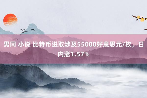 男同 小说 比特币进取涉及55000好意思元/枚，日内涨1.57%