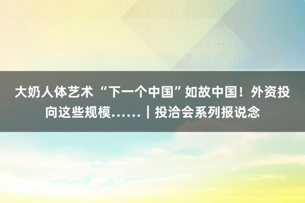 大奶人体艺术 “下一个中国”如故中国！外资投向这些规模……｜投洽会系列报说念