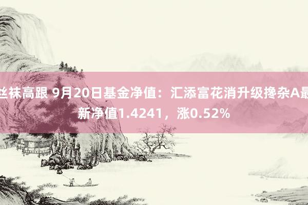 丝袜高跟 9月20日基金净值：汇添富花消升级搀杂A最新净值1.4241，涨0.52%