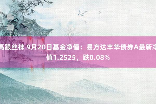 高跟丝袜 9月20日基金净值：易方达丰华债券A最新净值1.2525，跌0.08%