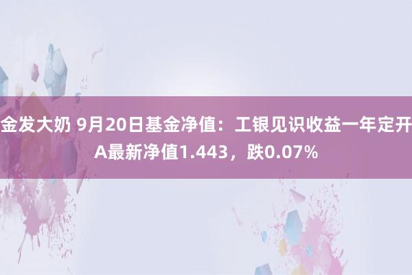 金发大奶 9月20日基金净值：工银见识收益一年定开A最新净值1.443，跌0.07%