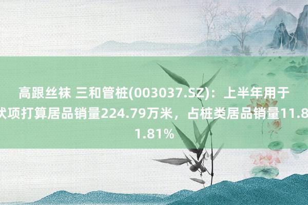 高跟丝袜 三和管桩(003037.SZ)：上半年用于光伏项打算居品销量224.79万米，占桩类居品销量11.81%