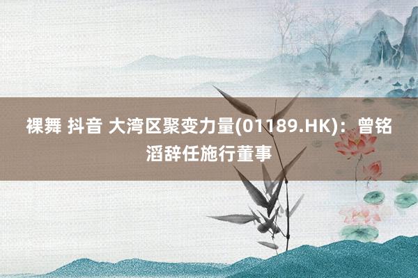 裸舞 抖音 大湾区聚变力量(01189.HK)：曾铭滔辞任施行董事