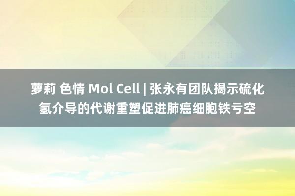 萝莉 色情 Mol Cell | 张永有团队揭示硫化氢介导的代谢重塑促进肺癌细胞铁亏空