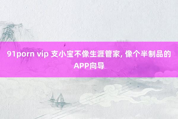 91porn vip 支小宝不像生涯管家， 像个半制品的APP向导