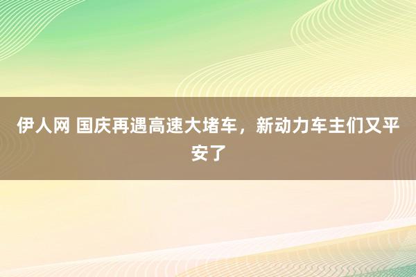 伊人网 国庆再遇高速大堵车，新动力车主们又平安了