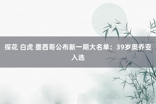 探花 白虎 墨西哥公布新一期大名单：39岁奥乔亚入选