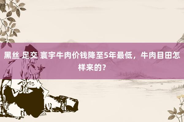 黑丝 足交 寰宇牛肉价钱降至5年最低，牛肉目田怎样来的？