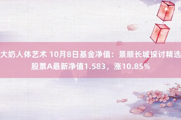 大奶人体艺术 10月8日基金净值：景顺长城探讨精选股票A最新净值1.583，涨10.85%