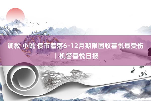 调教 小说 债市着落6-12月期限固收喜悦最受伤丨机警喜悦日报