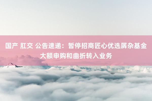 国产 肛交 公告速递：暂停招商匠心优选羼杂基金大额申购和曲折转入业务