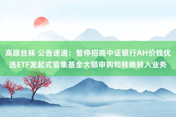 高跟丝袜 公告速递：暂停招商中证银行AH价钱优选ETF发起式皆集基金大额申购和转换转入业务