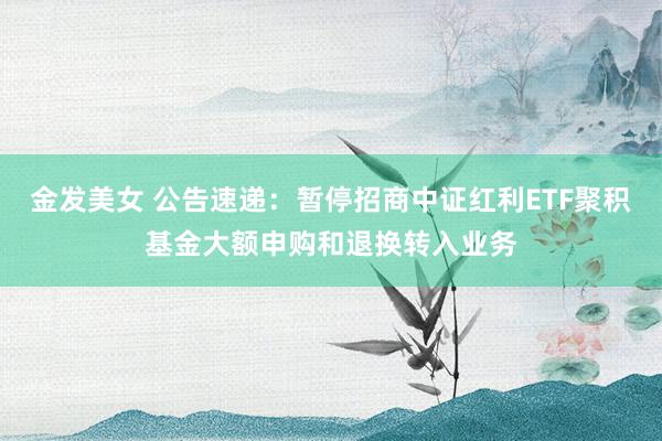 金发美女 公告速递：暂停招商中证红利ETF聚积基金大额申购和退换转入业务