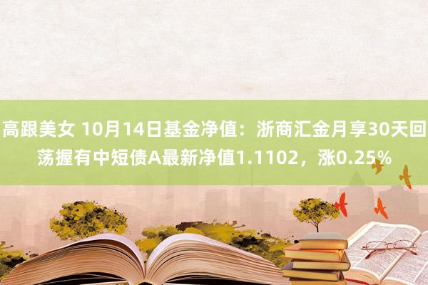 高跟美女 10月14日基金净值：浙商汇金月享30天回荡握有中短债A最新净值1.1102，涨0.25%