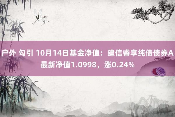 户外 勾引 10月14日基金净值：建信睿享纯债债券A最新净值1.0998，涨0.24%