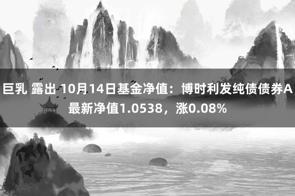 巨乳 露出 10月14日基金净值：博时利发纯债债券A最新净值1.0538，涨0.08%