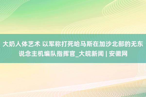 大奶人体艺术 以军称打死哈马斯在加沙北部的无东说念主机编队指挥官_大皖新闻 | 安徽网