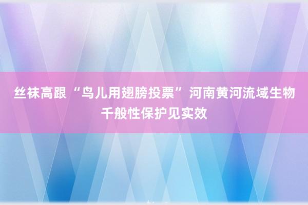 丝袜高跟 “鸟儿用翅膀投票” 河南黄河流域生物千般性保护见实效