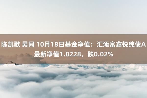 陈凯歌 男同 10月18日基金净值：汇添富鑫悦纯债A最新净值1.0228，跌0.02%