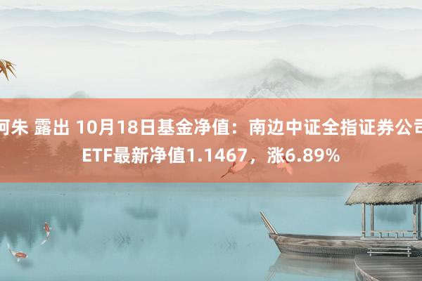 阿朱 露出 10月18日基金净值：南边中证全指证券公司ETF最新净值1.1467，涨6.89%