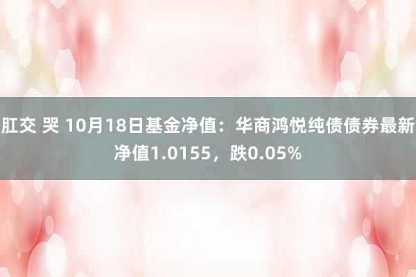 肛交 哭 10月18日基金净值：华商鸿悦纯债债券最新净值1.0155，跌0.05%