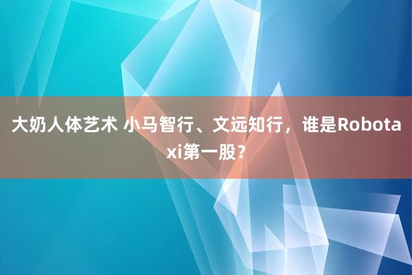 大奶人体艺术 小马智行、文远知行，谁是Robotaxi第一股？