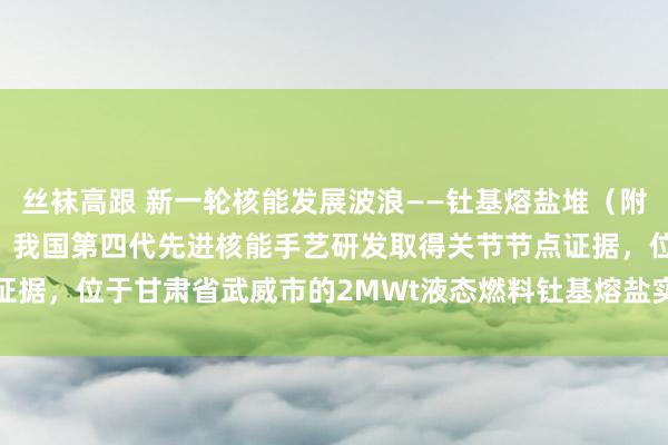 丝袜高跟 新一轮核能发展波浪——钍基熔盐堆（附股） 据生态环境部音讯，我国第四代先进核能手艺研发取得关节节点证据，位于甘肃省武威市的2MWt液态燃料钍基熔盐实验堆近日已赢得...