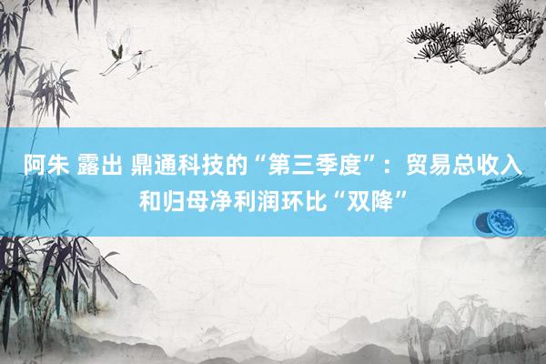 阿朱 露出 鼎通科技的“第三季度”：贸易总收入和归母净利润环比“双降”