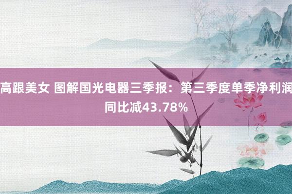 高跟美女 图解国光电器三季报：第三季度单季净利润同比减43.78%