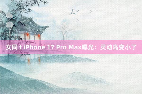 女同 t iPhone 17 Pro Max曝光：灵动岛变小了