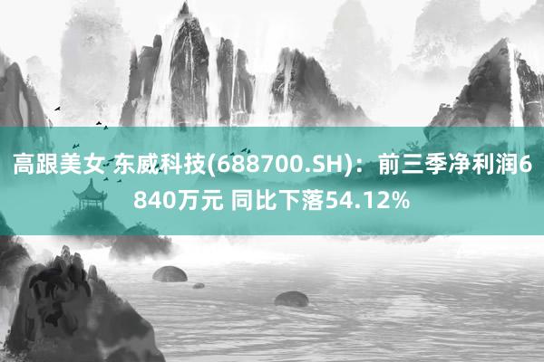 高跟美女 东威科技(688700.SH)：前三季净利润6840万元 同比下落54.12%