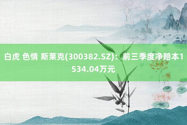 白虎 色情 斯莱克(300382.SZ)：前三季度净赔本1534.04万元