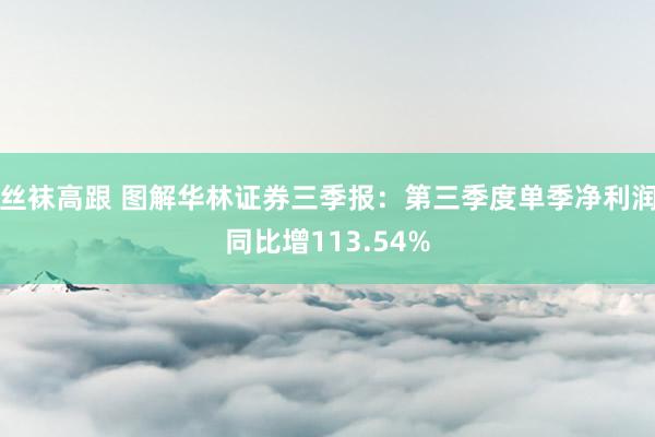 丝袜高跟 图解华林证券三季报：第三季度单季净利润同比增113.54%