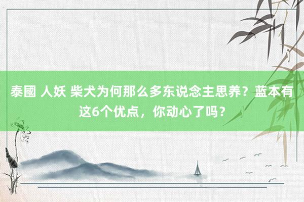 泰國 人妖 柴犬为何那么多东说念主思养？蓝本有这6个优点，你动心了吗？