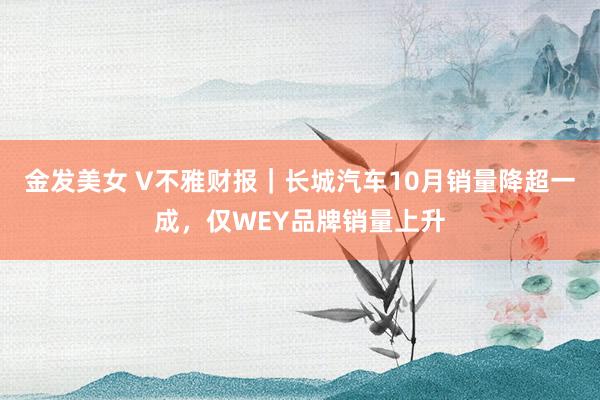 金发美女 V不雅财报｜长城汽车10月销量降超一成，仅WEY品牌销量上升