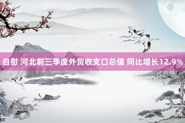 自慰 河北前三季度外贸收支口总值 同比增长12.9%