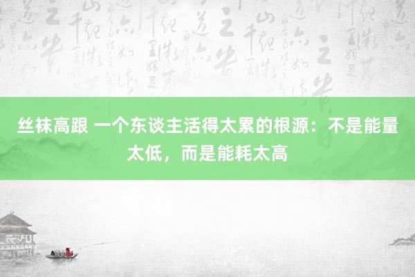 丝袜高跟 一个东谈主活得太累的根源：不是能量太低，而是能耗太高