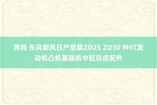 男同 东风御风日产尼桑ZD25 ZD30 M9T发动机凸机基础机中缸总成配件