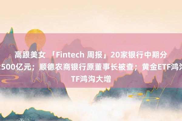 高跟美女 「Fintech 周报」20家银行中期分成超2500亿元；顺德农商银行原董事长被查；黄金ETF鸿沟大增